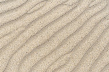 Kumun doku arkaplan deseni