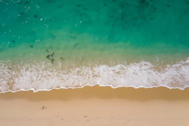 Dalgalı plaj manzarası