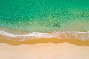 Tatil ve seyahat için deniz ve hindistan cevizi palmiyeli güzel tropikal plaj