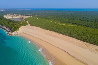 Sahilin ve denizin havadan görünüşü..