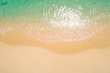 Maldivlerde tropikal plaj.