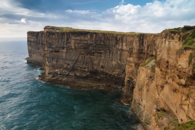 Annesi Clare, İrlanda 'daki kayalık uçurumlarda