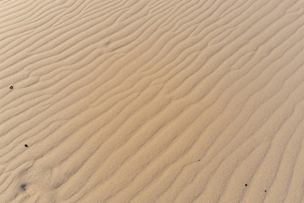 Gyönyörű Dűnék Sivatagban — Stock Fotó