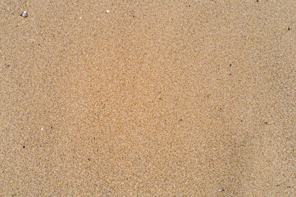 Zand Zee Achtergrond — Stockfoto