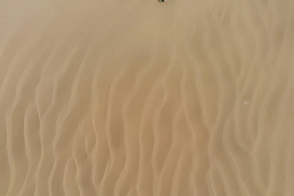 Tiro Vertical Praia Arenosa Uma Onda — Fotografia de Stock