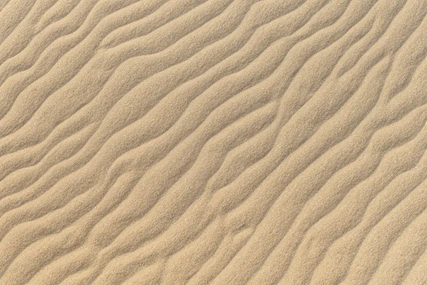 Όμορφη Αμμουδιά Παρασκηνίου — Φωτογραφία Αρχείου