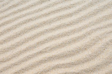 güzel kum doku arka plan