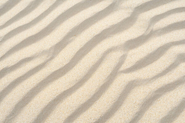 sandy sand texture background
