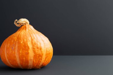 Gri arkaplanda taze balkabağı, yakın plan