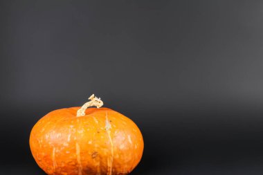 Cadılar bayramı arkaplanı beyaz arkaplanlı bir balkabağı.