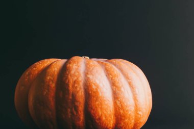 Beyaz arkaplanda kabak izole