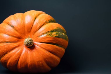 Gri bir arka plan üzerinde kabak.