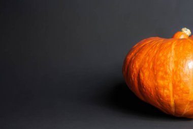 Beyaz arka planda bir balkabağı. Beyaz bir masada Cadılar Bayramı balkabağı