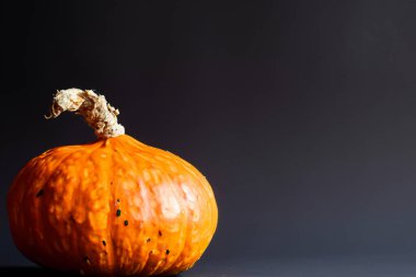 balkabağı siyah arkaplanda