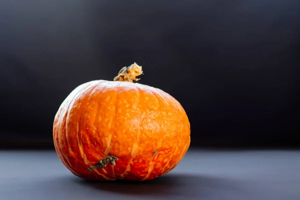 Zucca Halloween Sfondo Grigio — Foto Stock