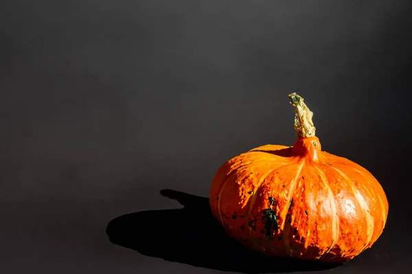 Calabaza Halloween Sobre Fondo Negro —  Fotos de Stock