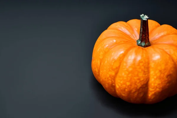 Zucca Halloween Sfondo Nero — Foto Stock