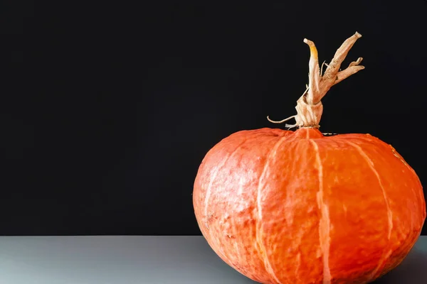 Halloween Kürbis Mit Schwarzem Kürbis Auf Schwarzem Hintergrund Herbstferienkonzept — Stockfoto