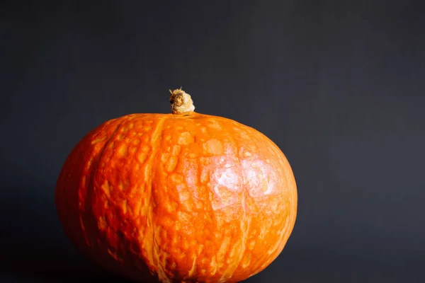 Pumpa Svart Bakgrund Halloween Koncept — Stockfoto