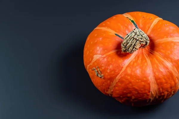 Zucca Arancione Halloween Isolata Sfondo Nero Vista Dall Alto — Foto Stock