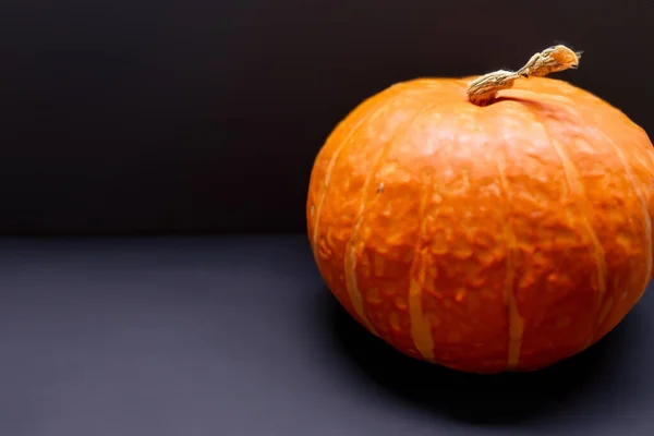Zucca Halloween Uno Sfondo Nero — Foto Stock