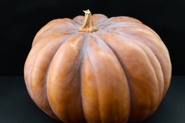 Cadılar bayramı için taze organik balkabağı.