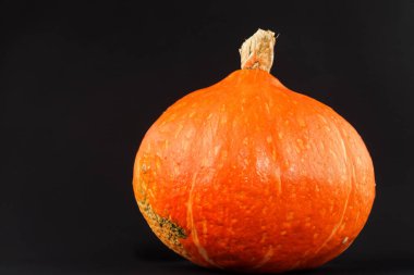 Beyaz arka planda izole edilmiş balkabağı. sonbahar balkabağı