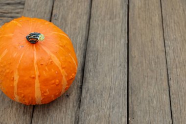 Ahşap zemin üzerinde dekoratif turuncu balkabağı fotokopi alanı ile