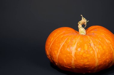 Siyah arka planda Cadılar Bayramı balkabağı