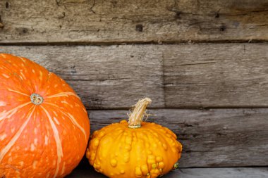 Eski ahşap arka planda bir balkabağı ile sonbahar balkabağı