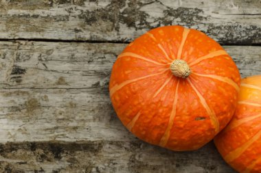 Siyah ahşap arka planda beyaz kurdeleli turuncu ve kırmızı balkabakları. Cadılar bayramı arka planı, sonbahar hasat konsepti. en üstteki görünüm