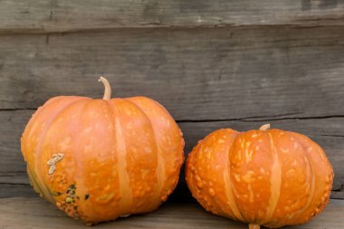 Kırsal ahşap bir yüzeyde kabaklar