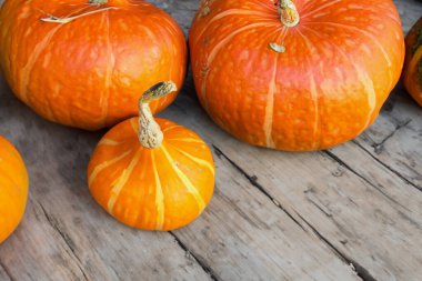 Farklı dekoratif balkabaklarıyla kompozisyon, yakın plan.