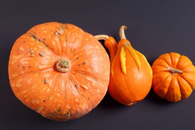 beyaz arkaplanda kabak