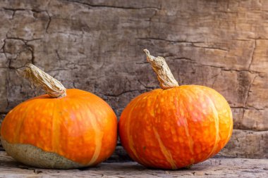 Eski tahta kutuda balkabakları, cadılar bayramı konsepti,