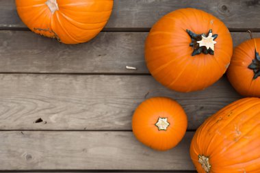 Cadılar Bayramı Balkabağı ve sonbahar yaprakları