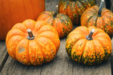 pazardaki balkabakları