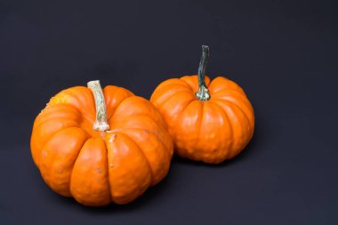 Siyah arka planda siyah yapraklı Cadılar Bayramı balkabağı