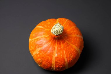 balkabağı siyah arkaplanda