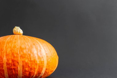 Cadılar Bayramı Balkabağı gri arka plan üzerinde