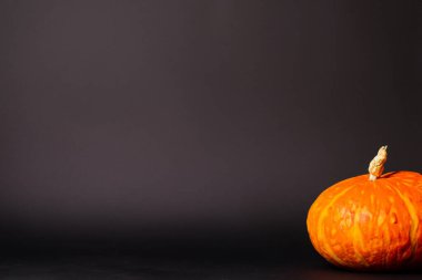 Siyah arkaplanı olan bir balkabağı