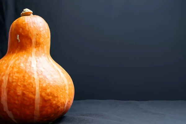 Calabaza Naranja Vaso Negro Sobre Fondo Gris — Foto de Stock