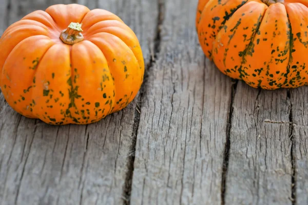 Höst Pumpor Rustik Trä Bakgrund Halloween Koncept Thanksgiving Eller Halloween — Stockfoto