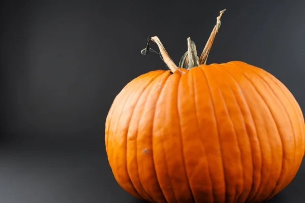 Sfondo Halloween Con Zucca — Foto Stock