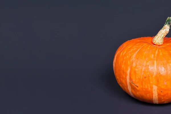 Abóbora Cor Laranja Fundo Preto Fim Para Cima Halloween — Fotografia de Stock