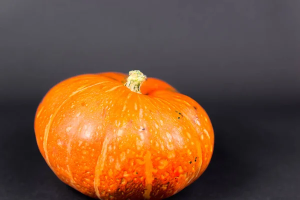 Halloween Orange Kürbis Auf Schwarzem Hintergrund Nahaufnahme — Stockfoto