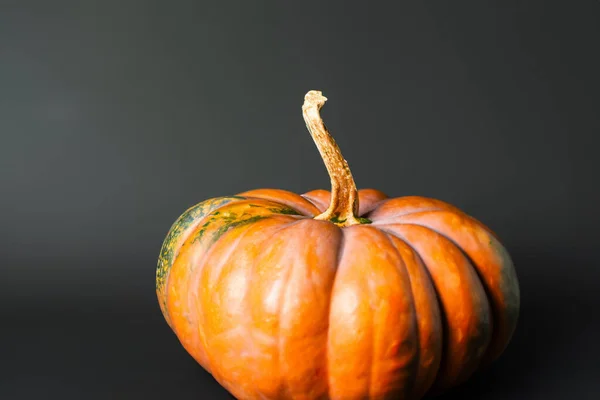 Halloween Pumpa Svart Bakgrund Halloween Konceptet Kopieringsutrymme — Stockfoto