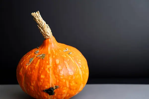Kürbis Isoliert Auf Schwarzem Hintergrund Halloween Dekoration — Stockfoto