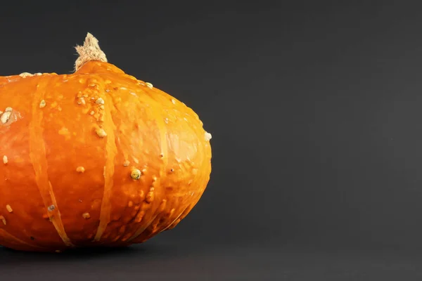 Calabaza Decorativa Con Fondo Negro Halloween —  Fotos de Stock