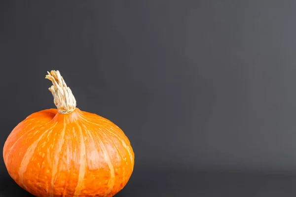 Zucca Halloween Con Uno Sfondo Nero — Foto Stock